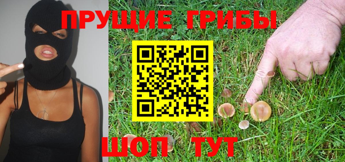 Галлюциногенные грибы Psilocybe  Псилоцибиновые грибы Psilocybine cubensis  Вход с VPN  Барабинск 
